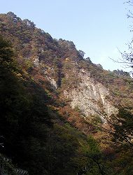 20061105-06kusatsu (2).jpg